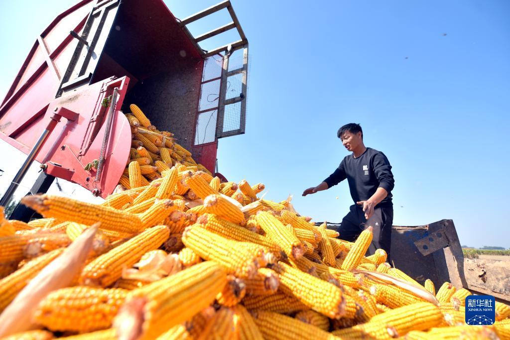 皇冠注册送金不